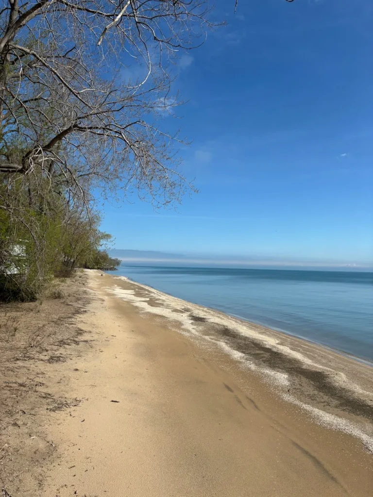 Encontre o sabonete ideal para sua pele